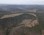 Operação nacional fiscaliza mais de 8 mil hectares de Mata Atlântica e identifica desmatamento ilegal em Minas Gerais