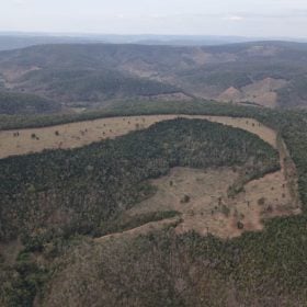 Opera&ccedil;&atilde;o nacional fiscaliza mais de 8 mil hectares de Mata Atl&acirc;ntica e identifica desmatamento ilegal em Minas Gerais