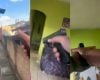 Homem suspeito de matar irmão após sessão de tortura filmada é preso na Região Metropolitana de Belo Horizonte