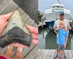 Menino de 11 anos e pai encontram dente fossilizado de megalodonte em praia de Nova Jersey