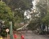 Temporal intenso atinge Belo Horizonte devido a combinação de calor, umidade e relevo, causando destelhamentos e alagamentos