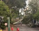 Temporal intenso atinge Belo Horizonte devido a combinação de calor, umidade e relevo, causando destelhamentos e alagamentos