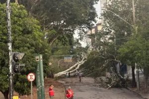Temporal intenso atinge Belo Horizonte devido a combina&ccedil;&atilde;o de calor, umidade e relevo, causando destelhamentos e alagamentos