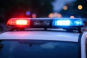Adolescente de 15 anos é investigado por suspeita de maus-tratos e morte de cinco gatos em Pouso Alegre