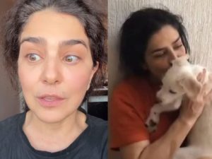 Justiça do Rio determina devolução de cachorro de Letícia Sabatella a sua tutora original