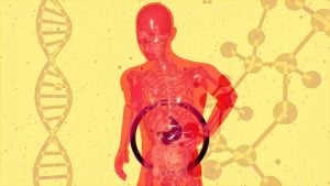 Estudo revela que órgãos envelhecem de forma diferenciada e que essa variação pode ser monitorada por exames de sangue