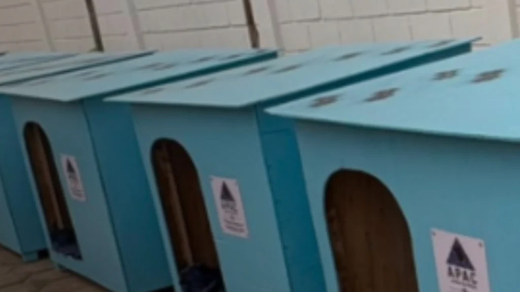 Detentos produzem casinhas para c&atilde;es e gatos abandonados em Lagoa da Prata