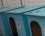 Detentos produzem casinhas para cães e gatos abandonados em Lagoa da Prata