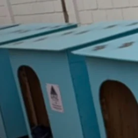 Detentos produzem casinhas para cães e gatos abandonados em Lagoa da Prata