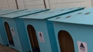 Detentos produzem casinhas para c&atilde;es e gatos abandonados em Lagoa da Prata