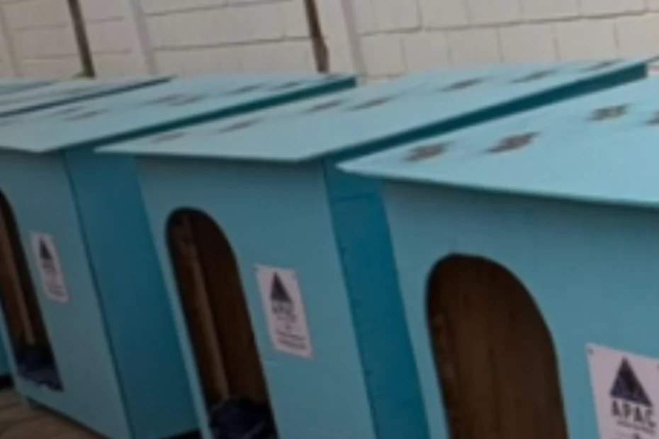 Detentos produzem casinhas para c&atilde;es e gatos abandonados em Lagoa da Prata