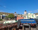 Rede do Agro amplia compras coletivas e projeta economia de R$ 1,3 milhão para produtores mineiros