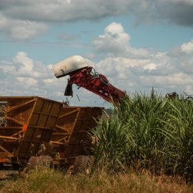 Safra maior de cana amplia oferta de etanol e pressiona pre&ccedil;os&nbsp;