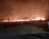 Incêndio em vegetação assusta moradores da Lagoa dos Mandarins