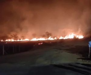 Incêndio em vegetação assusta moradores da Lagoa dos Mandarins
