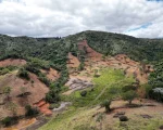 Operação Mata Atlântica em Pé 2026 embarga 3 mil hectares em MG