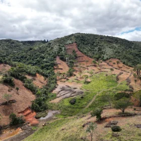 Operação Mata Atlântica em Pé 2026 embarga 3 mil hectares em MG