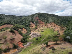 Operação Mata Atlântica em Pé 2026 embarga 3 mil hectares em MG