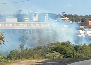 Denúncia: Queimada em lote vago provoca fumaça perto do Hospital Regional em Divinópolis