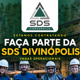 SDS siderurgica