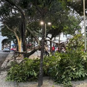Alerta de vendaval ameaça 5 estados: vai chegar em Minas?