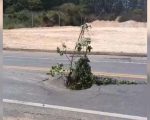 Grande buraco após asfalto ceder na BR-494, na entrada do bairro Novo Fortaleza, em Divinópolis