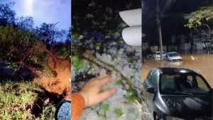 Temporal derruba árvores, alaga ruas e deixa milhares sem luz em Ipatinga