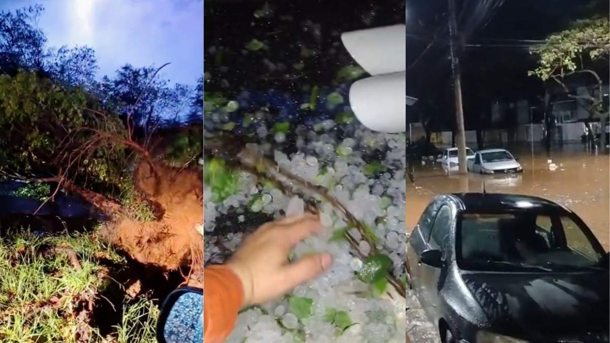 Temporal derruba &aacute;rvores, alaga ruas e deixa milhares sem luz em Ipatinga