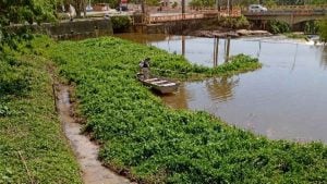 Prefeitura faz força-tarefa para retirar aguapés no Rio Itapecerica, em Divinópolis