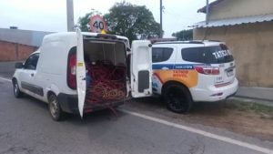 Grupo detido com cerca de duas toneladas de fios de cobre furtados de usina em Divinópolis