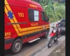 Gato provoca queda de motociclista