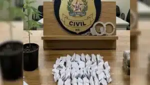 Polícia Civil apreendeu maconha, haxixe e cocaína em estabelecimento no bairro Piedade.