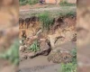 Rua Martim Ciprian com Costa Silva no bairro Belvedere em Divinópolis
