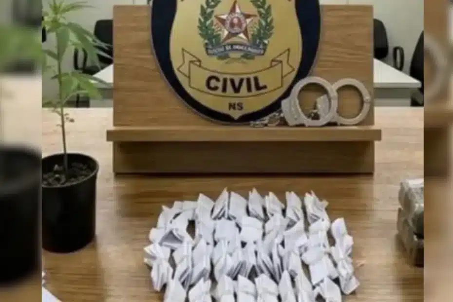 Pol&iacute;cia Civil apreendeu maconha, haxixe e coca&iacute;na em estabelecimento no bairro Piedade.