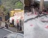 Motorista bêbado bate em cabine de pedágio, tenta fugir e é preso na BR-381