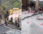 Motorista b&ecirc;bado bate em cabine de ped&aacute;gio, tenta fugir e &eacute; preso na BR-381