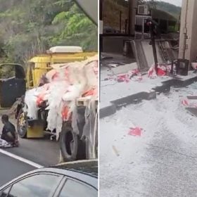 Motorista bêbado bate em cabine de pedágio, tenta fugir e é preso na BR-381