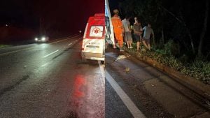 Crianças de 5 e 8 anos ficam feridas após carro cair em ribanceira na MG-050