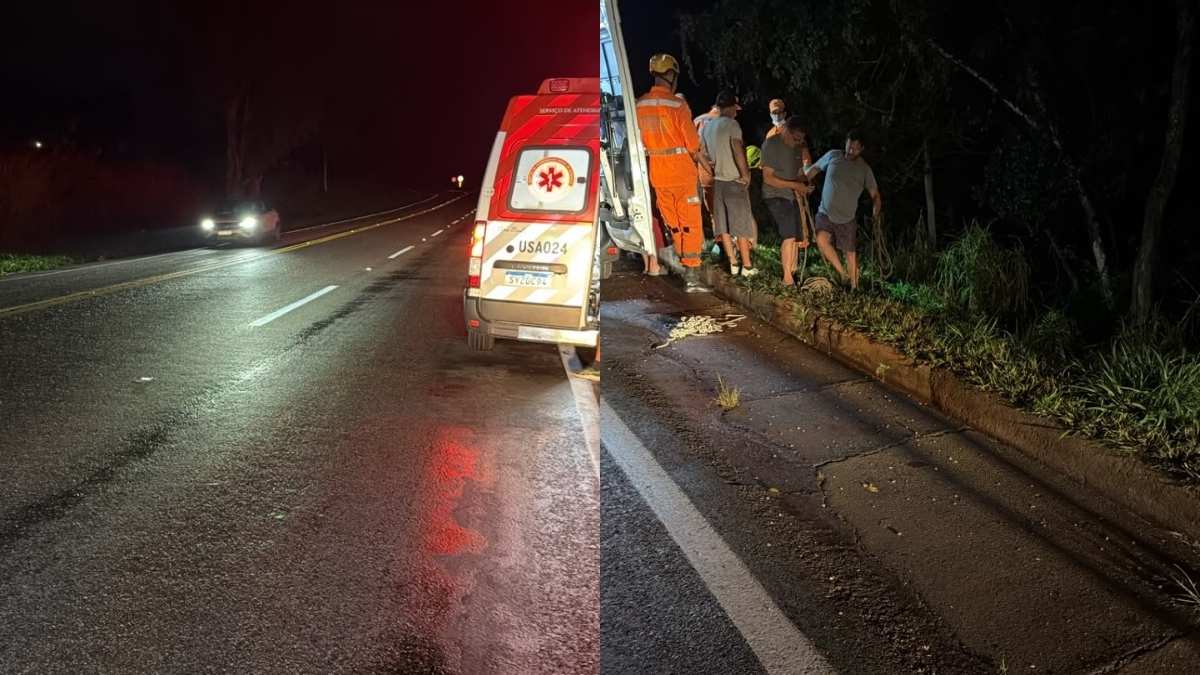 Crian&ccedil;as de 5 e 8 anos ficam feridas ap&oacute;s carro cair em ribanceira na MG-050