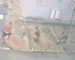 Jovem de 23 anos morre após intervenção policial durante ocorrência de violência doméstica em Pará de Minas