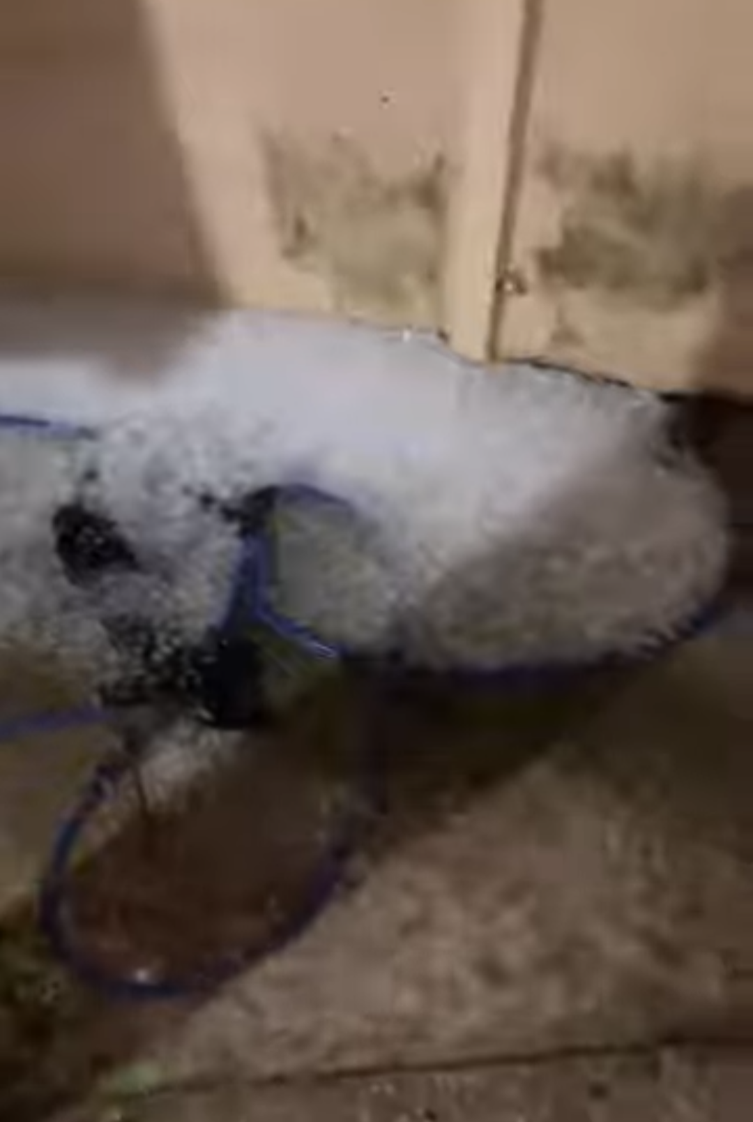 Temporal e chuva de granizo atinge a cidade de Perdigão