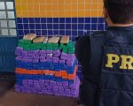 PRF apreende 250 kg de maconha na BR-262; droga iria para Nova Serrana