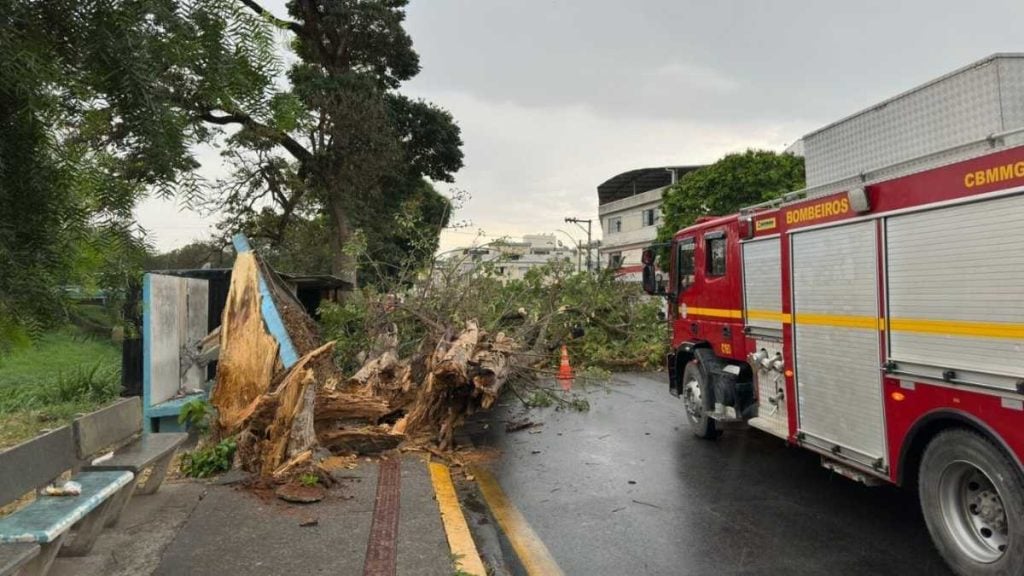 Queda de &aacute;rvore deixa dois feridos durante temporal em Formiga