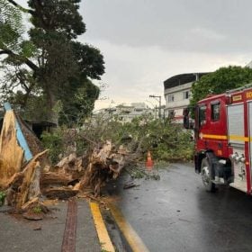 Queda de árvore deixa dois feridos durante temporal em Formiga
