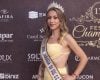 Miss Santa Catarina Néya Camargo Morre aos 42 Anos Após Luta Contra Câncer de Colo do Útero