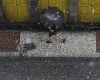 Inmet emite alerta de chuvas intensas para 101 municípios de Minas Gerais