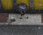 Inmet emite alerta de chuvas intensas para 101 municípios de Minas Gerais