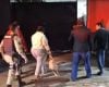 Jovem é libertado após matar pai embriagado que ameaçava familiares com faca em Minas Gerais