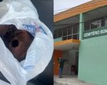 Coveiro e jovem são libertados após pagamento de fiança por furto de crânio em Contagem