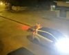 Homem de 25 anos é preso suspeito de tentar feminicídio contra ex-companheira no Barreiro, em Belo Horizonte